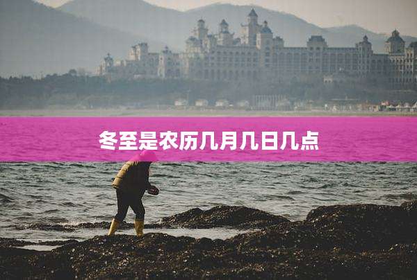 冬至是农历几月几日几点
