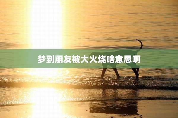 梦到朋友被大火烧啥意思啊