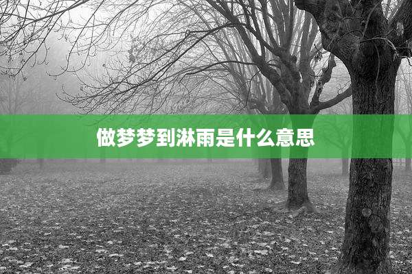 做梦梦到淋雨是什么意思
