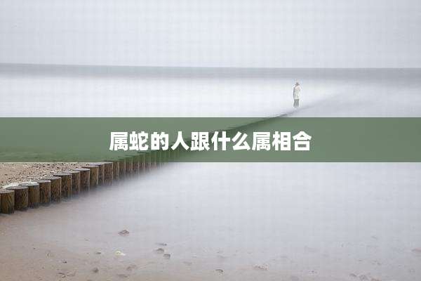属蛇的人跟什么属相合