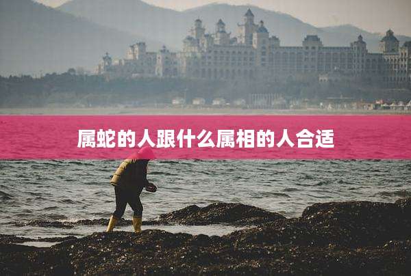 属蛇的人跟什么属相的人合适