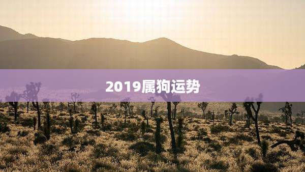 2019属狗运势