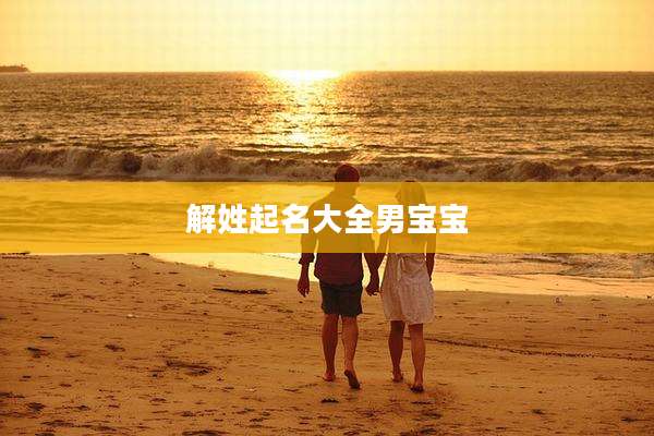 解姓起名大全男宝宝