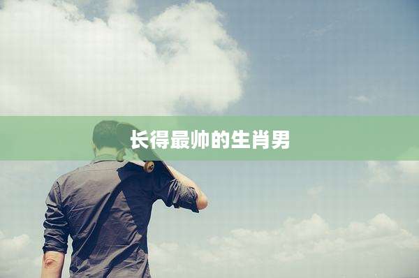 长得最帅的生肖男
