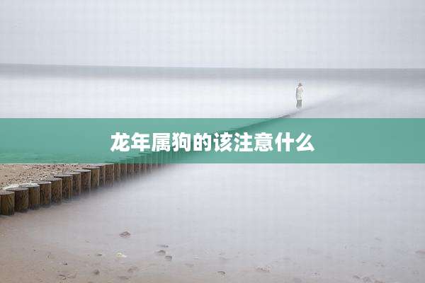 龙年属狗的该注意什么