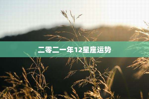 二零二一年12星座运势