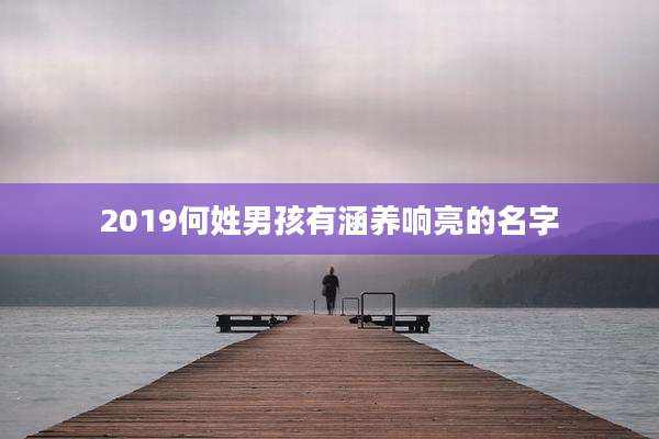 2019何姓男孩有涵养响亮的名字