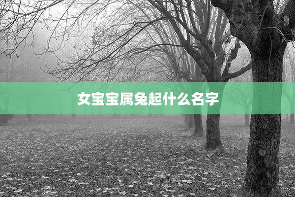 女宝宝属兔起什么名字
