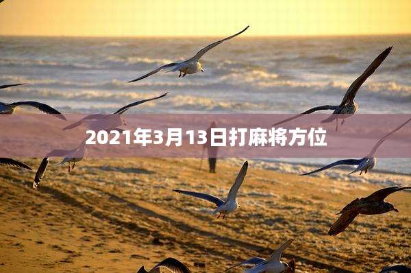 2021年3月13日打麻将方位