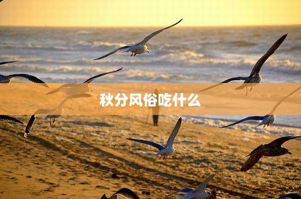 秋分风俗吃什么