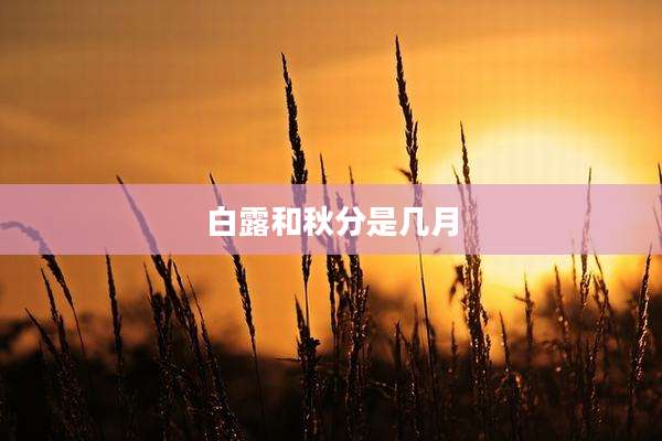白露和秋分是几月