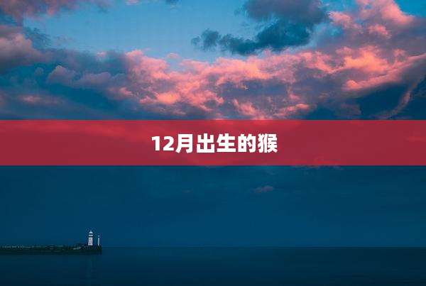 12月出生的猴