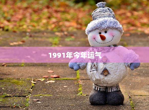 1991年今年运气