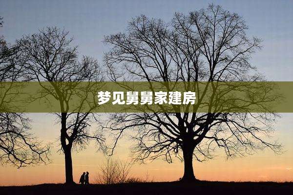 梦见舅舅家建房
