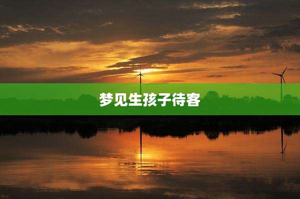 梦见生孩子待客