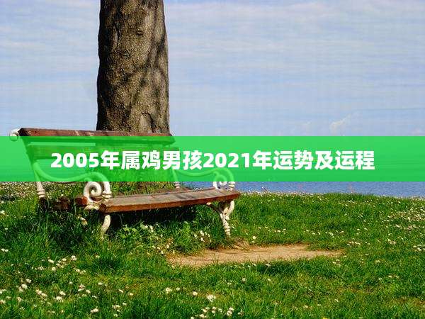 2005年属鸡男孩2021年运势及运程