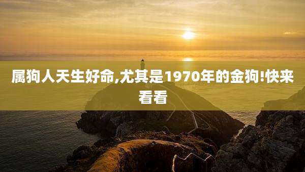 属狗人天生好命,尤其是1970年的金狗!快来看看