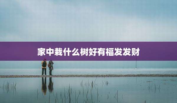 家中栽什么树好有福发发财