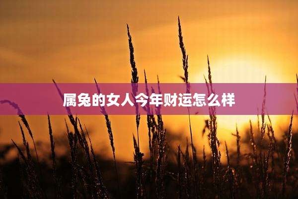 属兔的女人今年财运怎么样