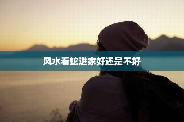 风水看蛇进家好还是不好