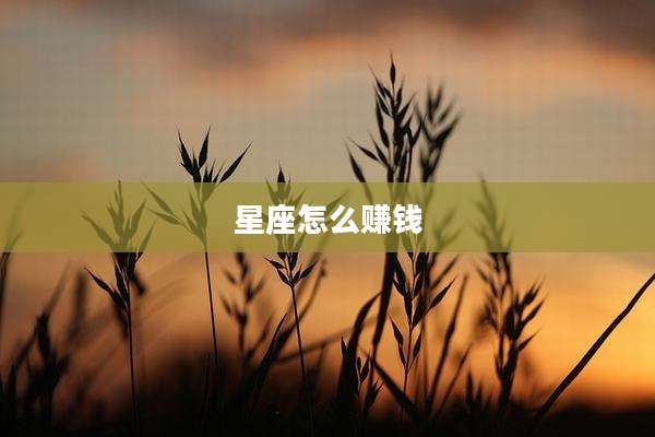 星座怎么赚钱
