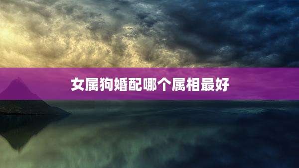 女属狗婚配哪个属相最好