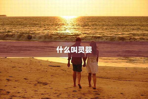 什么叫灵婴