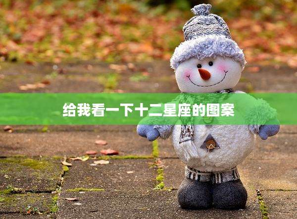 给我看一下十二星座的图案