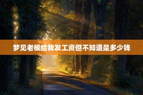 梦见老板给我发工资但不知道是多少钱