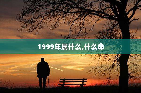 1999年属什么,什么命