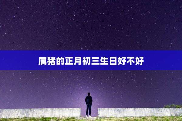 属猪的正月初三生日好不好