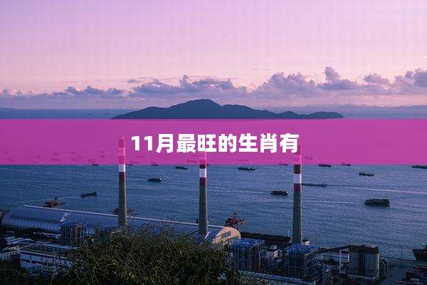 11月最旺的生肖有