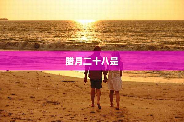 腊月二十八是