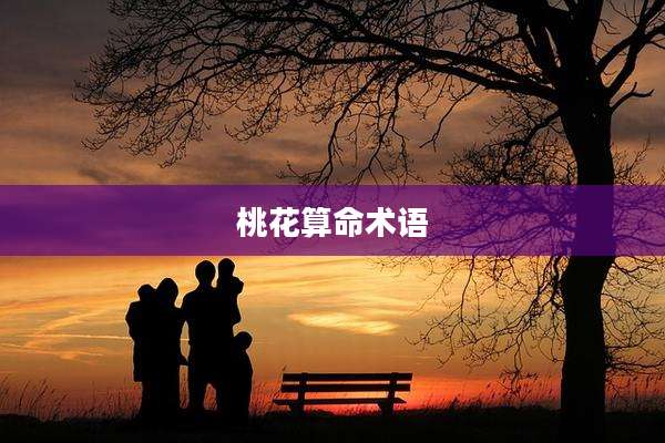 桃花算命术语