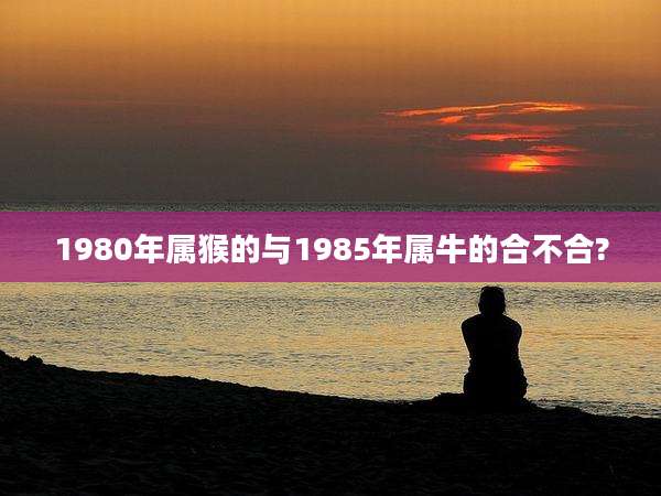 1980年属猴的与1985年属牛的合不合?