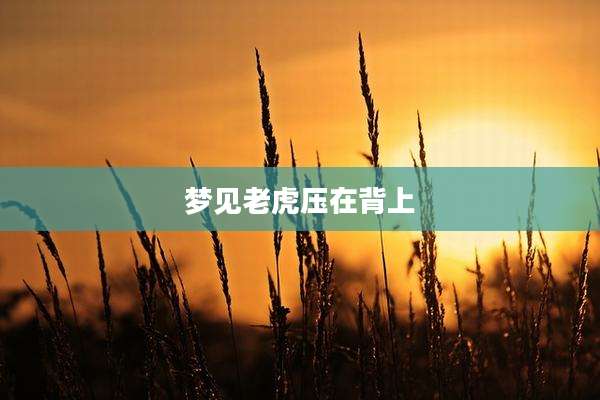梦见老虎压在背上