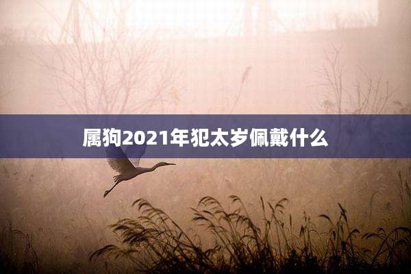 属狗2021年犯太岁佩戴什么