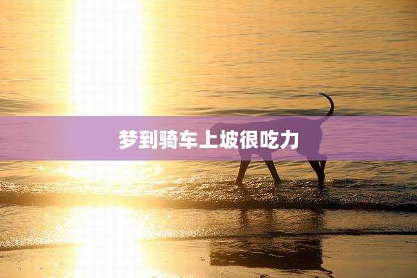 梦到骑车上坡很吃力