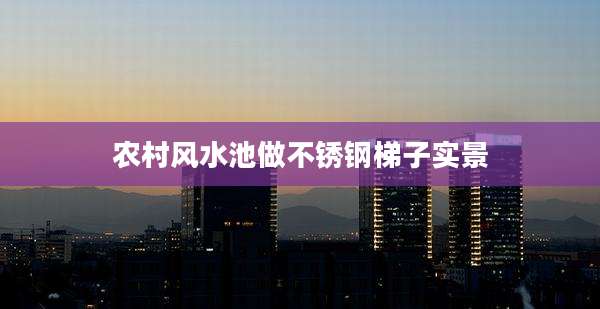 农村风水池做不锈钢梯子实景