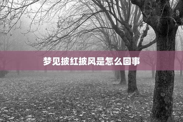 梦见披红披风是怎么回事