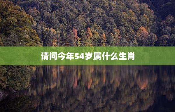 请问今年54岁属什么生肖