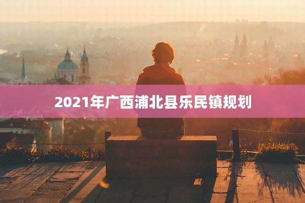 2021年广西浦北县乐民镇规划