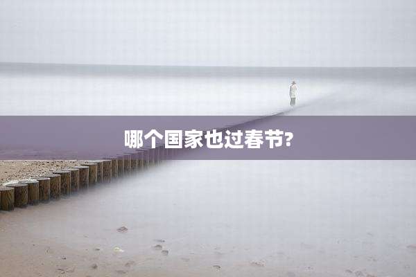 哪个国家也过春节?