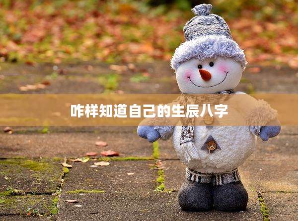 咋样知道自己的生辰八字