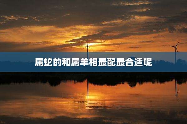 属蛇的和属羊相最配最合适呢