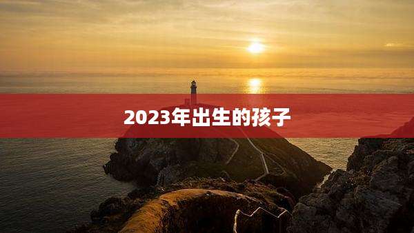 2023年出生的孩子