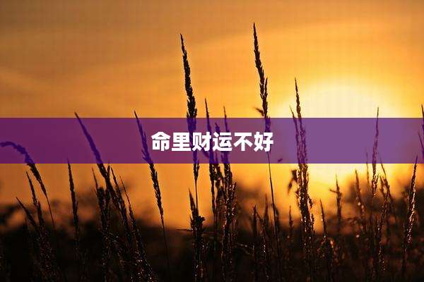 命里财运不好