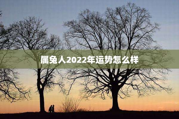 属兔人2022年运势怎么样