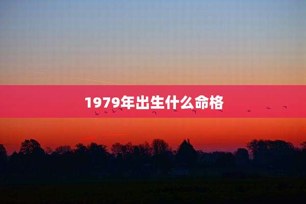 1979年出生什么命格