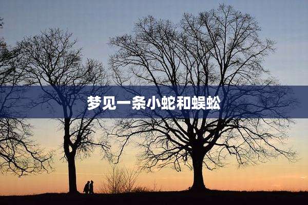 梦见一条小蛇和蜈蚣